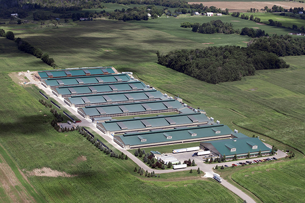 Tianjin Semi Trailer Co.,Ltd